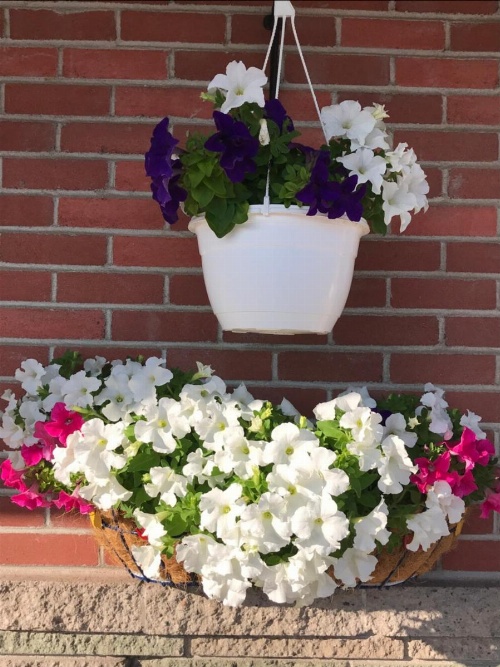 Trunk Road Motel image 10