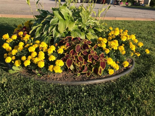 Trunk Road Motel image 24