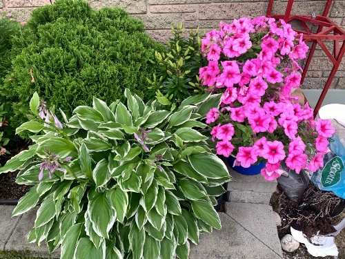 Trunk Road Motel image 38